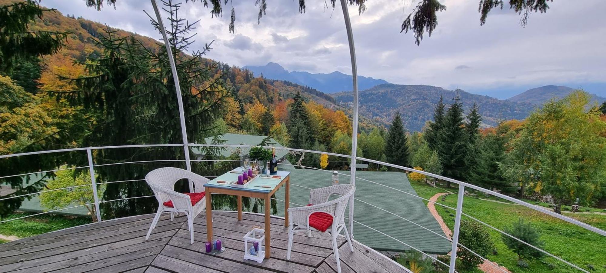 Harmonie Tree House Cotagges Chalet Predeal Trei Brazi エクステリア 写真