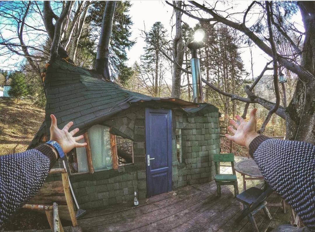 Harmonie Tree House Cotagges Chalet Predeal Trei Brazi エクステリア 写真