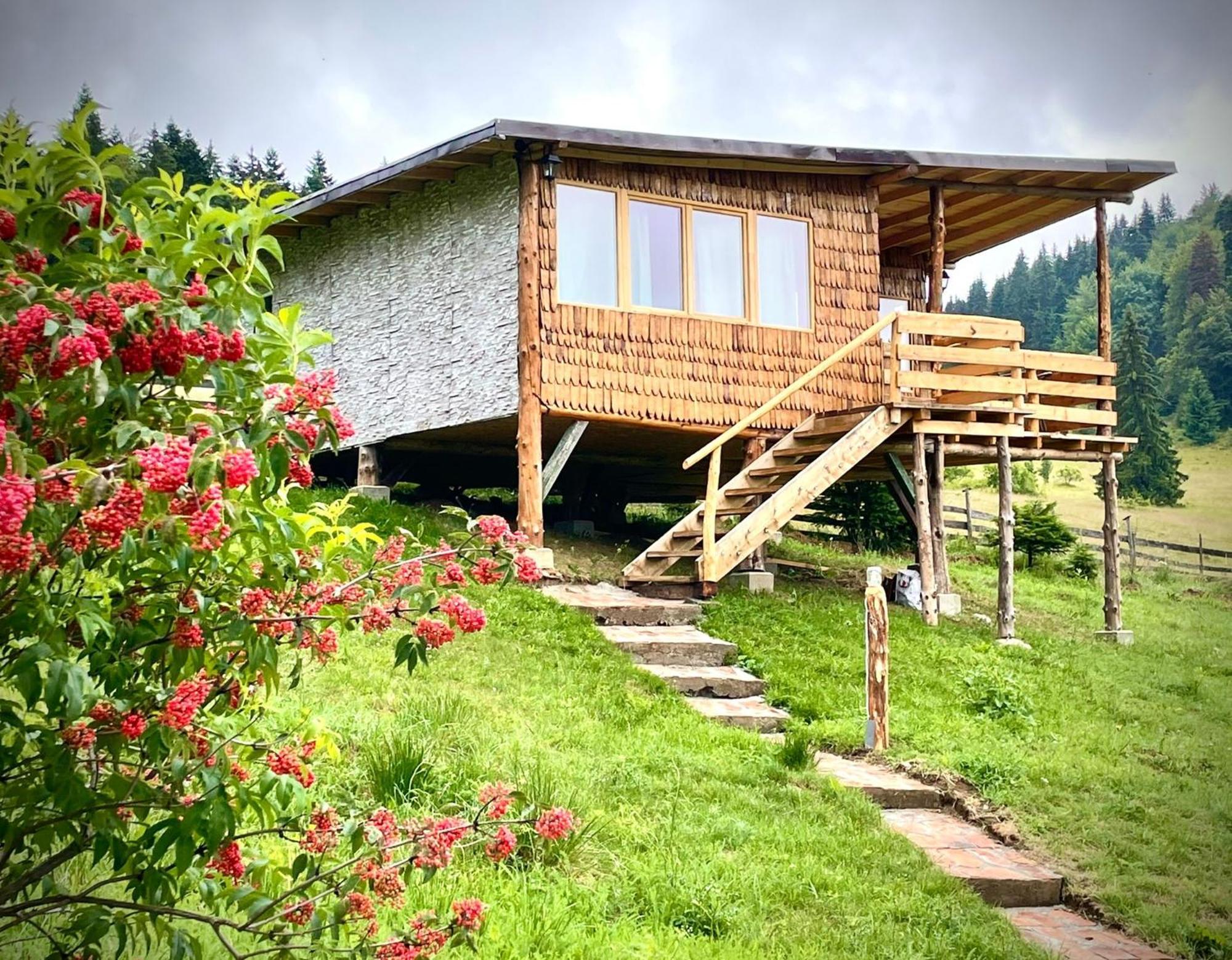Harmonie Tree House Cotagges Chalet Predeal Trei Brazi エクステリア 写真