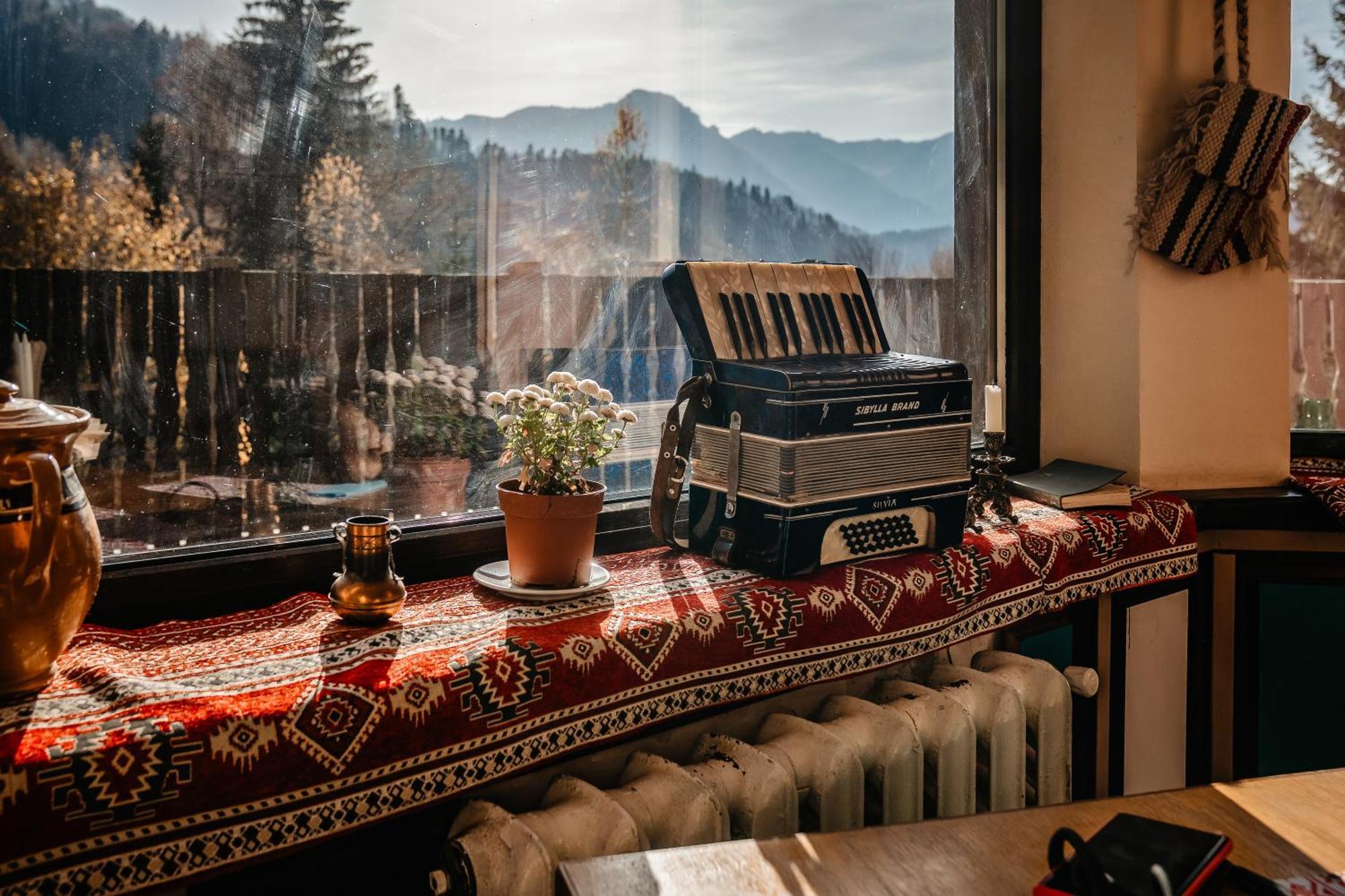 Harmonie Tree House Cotagges Chalet Predeal Trei Brazi エクステリア 写真