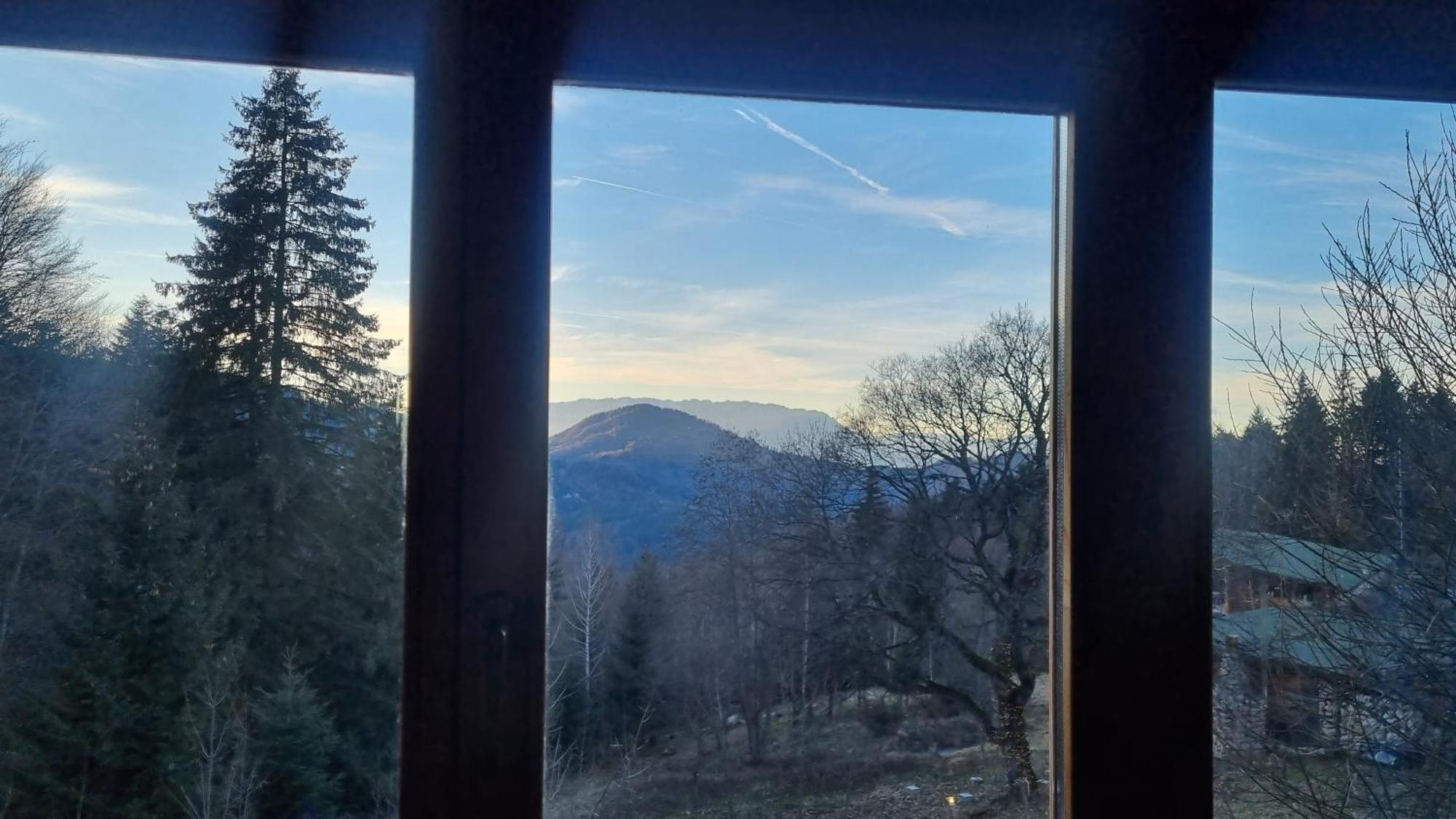 Harmonie Tree House Cotagges Chalet Predeal Trei Brazi エクステリア 写真