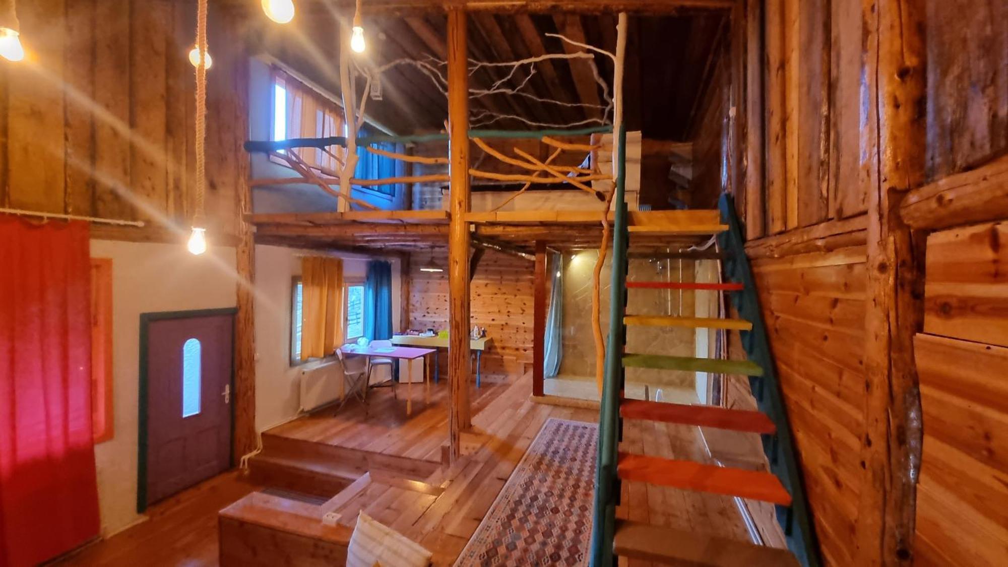 Harmonie Tree House Cotagges Chalet Predeal Trei Brazi エクステリア 写真
