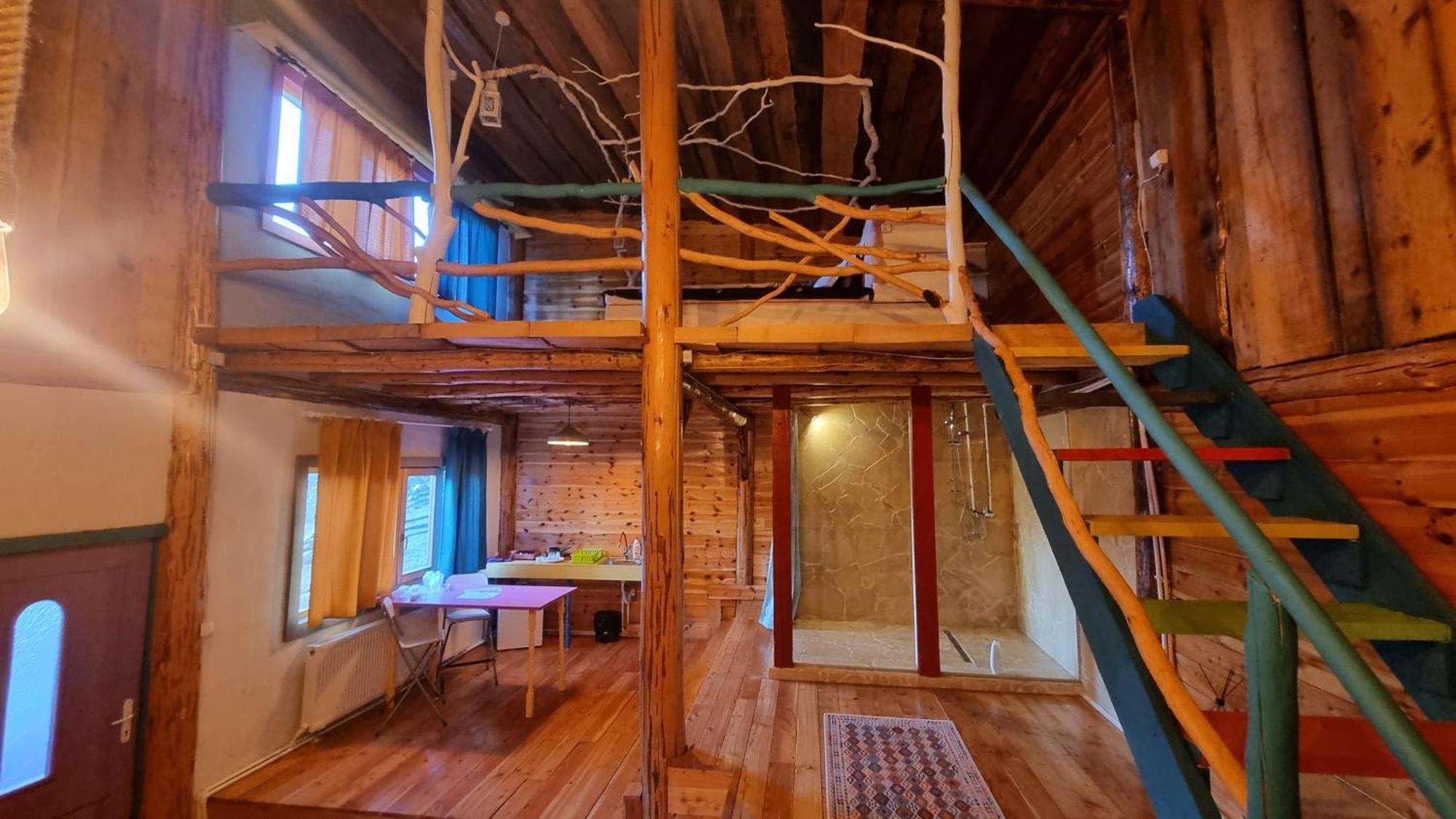 Harmonie Tree House Cotagges Chalet Predeal Trei Brazi エクステリア 写真