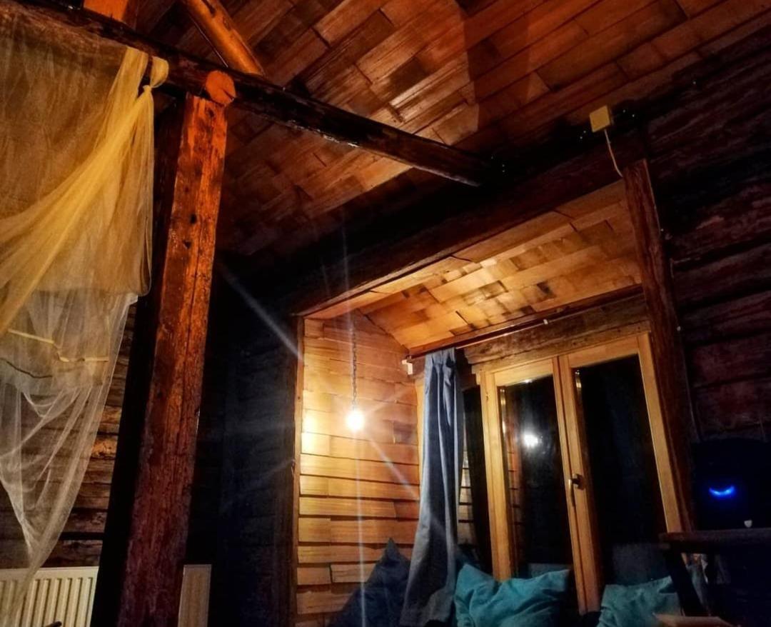 Harmonie Tree House Cotagges Chalet Predeal Trei Brazi エクステリア 写真