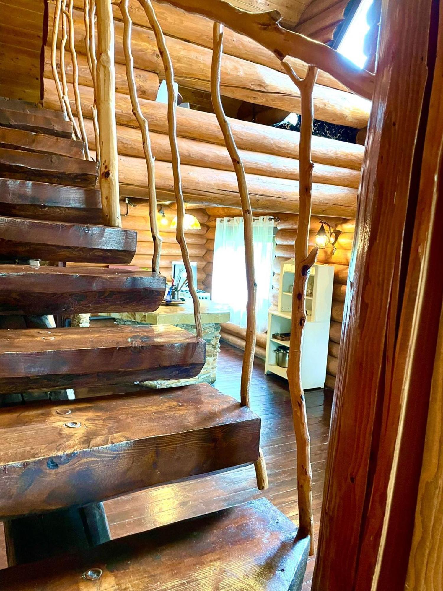 Harmonie Tree House Cotagges Chalet Predeal Trei Brazi エクステリア 写真