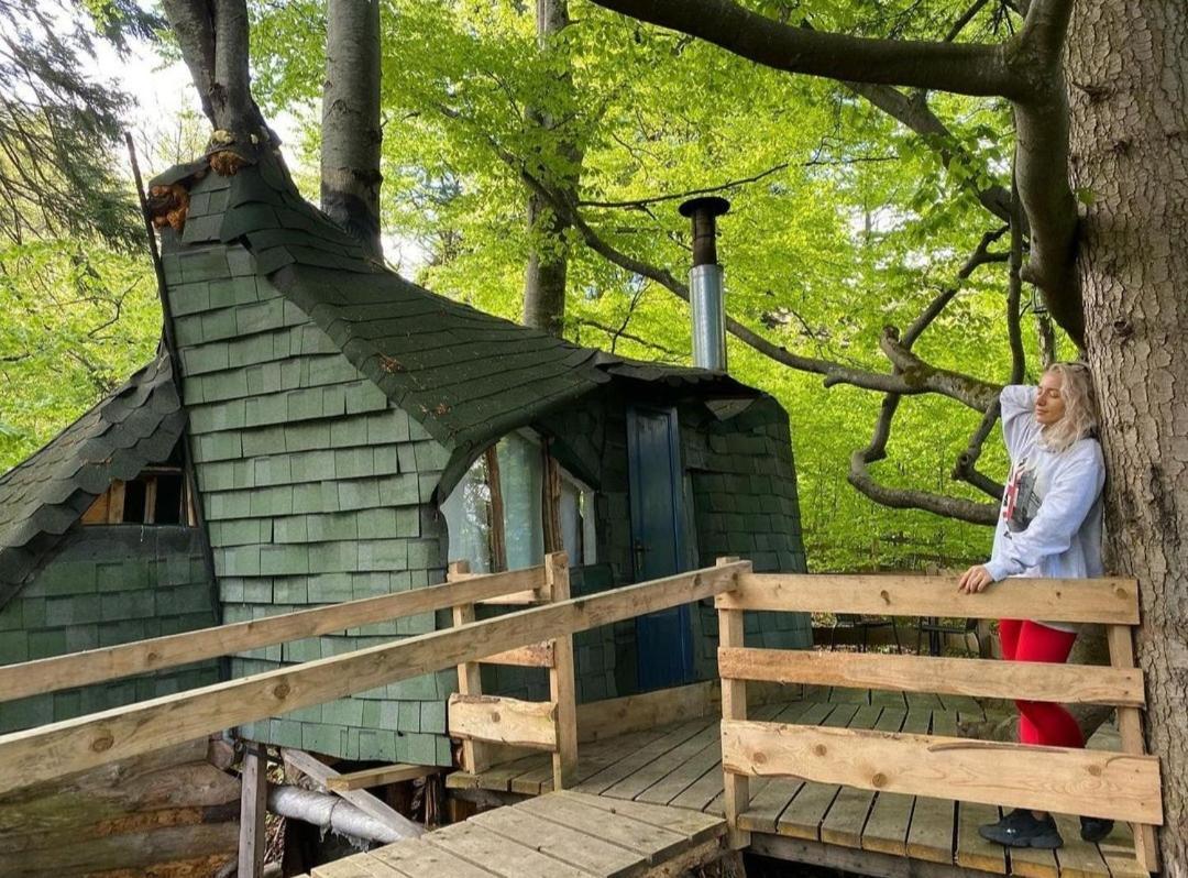 Harmonie Tree House Cotagges Chalet Predeal Trei Brazi エクステリア 写真
