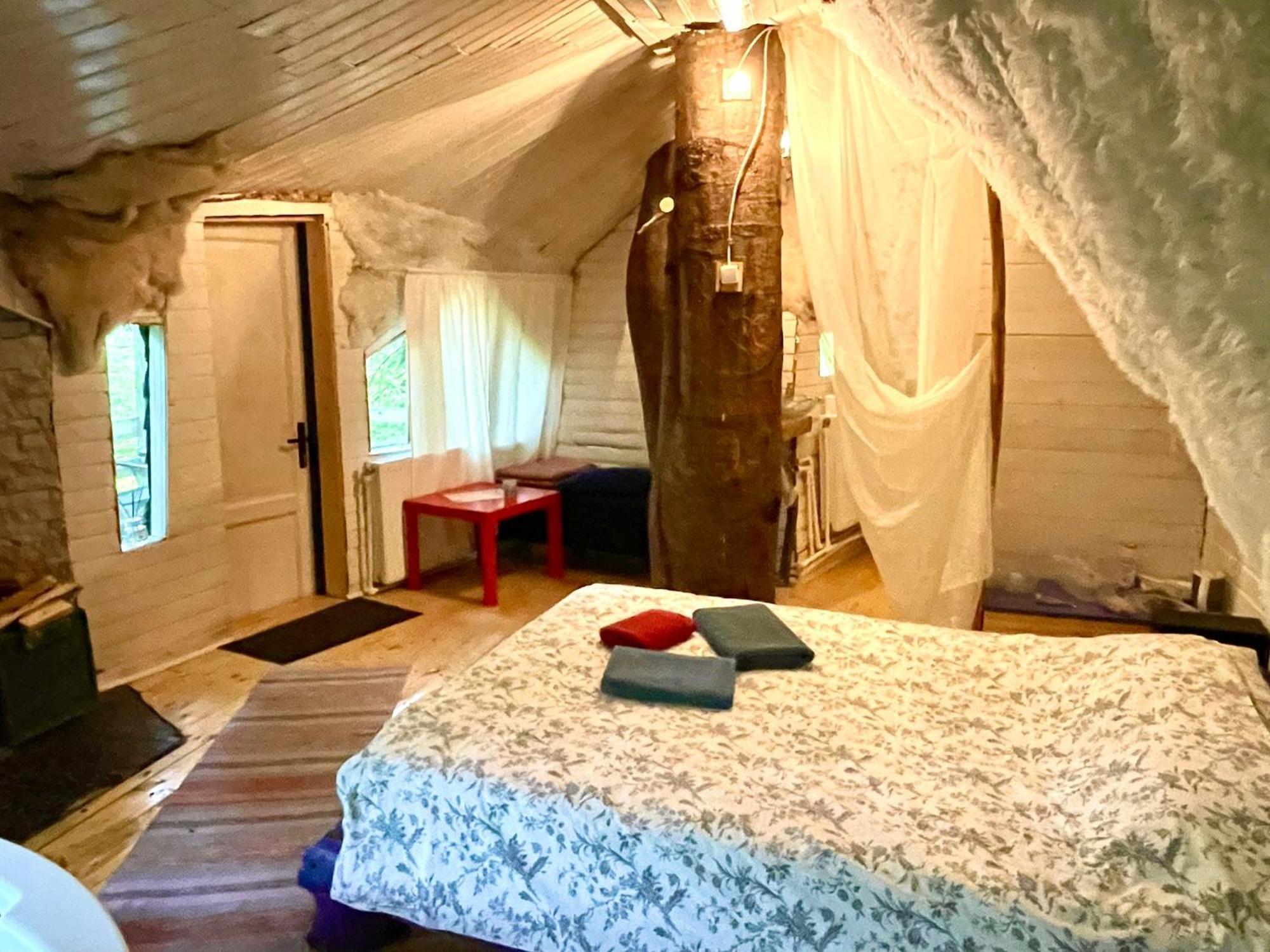 Harmonie Tree House Cotagges Chalet Predeal Trei Brazi エクステリア 写真